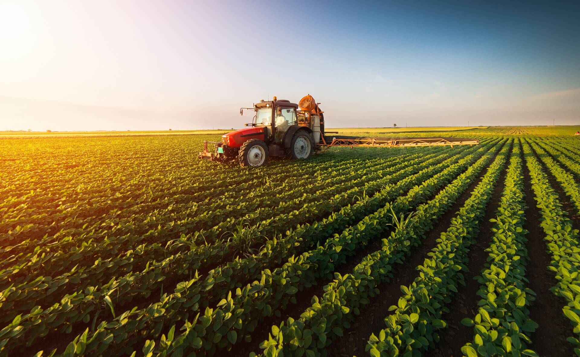 Imagem de eficiencia agricola
